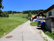 bachtel.jpg