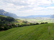 grabserberg-rheintal.JPG