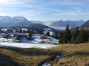 DSC01774.JPG