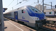 DSC 0145.JPG