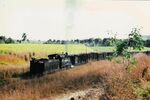 img019 img019.jpeg