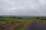 dsc_0020.jpg