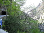 DSCN0507 DSCN0507.JPG