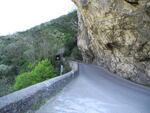 DSCN0508 DSCN0508.JPG