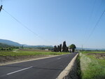 DSCN0512 DSCN0512.JPG