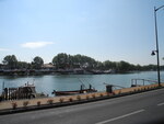 Agde, Tamarissière DSCN0535.JPG