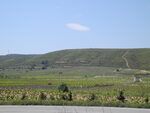 DSCN0547 DSCN0547.JPG