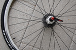 Bild 5. Führungsspeiche ist unten (in Laufrichtung rechts), erste Speiche auf der linken Seite ist ebenfalls bezeichnet DSC_0007.JPG