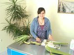 Kompetente Beratung zu den selbst hergestellten Aloe Vera Produkten, Villaverde 20120217_003.jpg