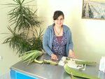 Kompetente Beratung zu den selbst hergestellten Aloe Vera Produkten, Villaverde 20120217_003.jpg