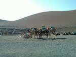 20120217_009 20120217_009.jpg