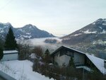 The fog is still there, I have to ride another 40 km in the fog 20111228_008.jpg