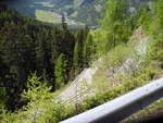 V.a. im Sommer ist man dankbar, dass die ersten Kehren im schattigen Wald verlaufen. DSCN1421.JPG